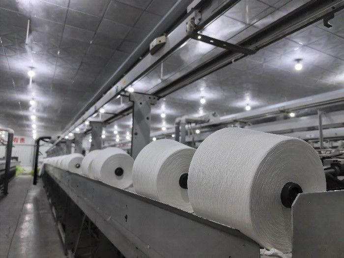 Wuxi Delicate Textile Technology Co ., Ltd .