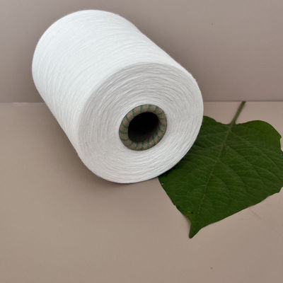 गणना और मूल 30F 30S/2 रेयॉन बुनाई स्पून रिंग 100% विस्कोस रेयॉन उच्च 120D/2